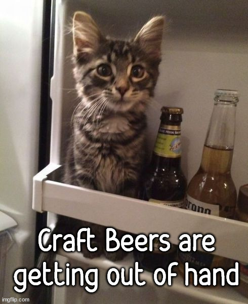 Craft Beers are getting out of hand | image tagged in cats | made w/ Imgflip meme maker