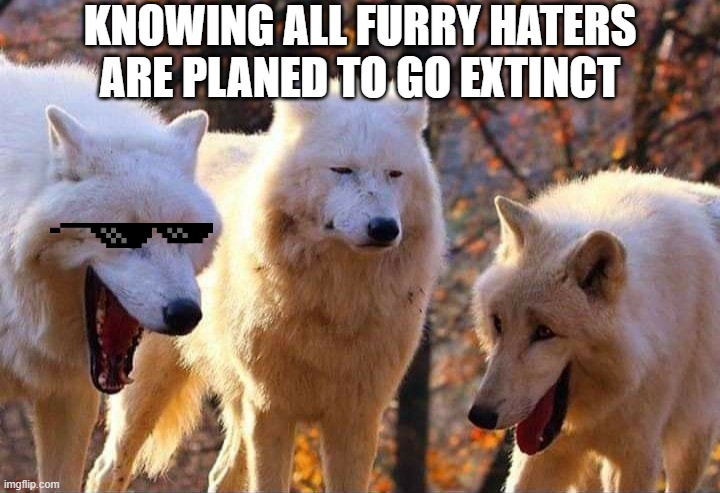 Laughing wolf | KNOWING ALL FURRY HATERS ARE PLANED TO GO EXTINCT | image tagged in laughing wolf | made w/ Imgflip meme maker