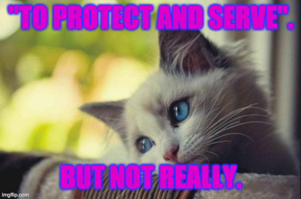 Sad cat | "TO PROTECT AND SERVE". BUT NOT REALLY. | image tagged in sad cat | made w/ Imgflip meme maker