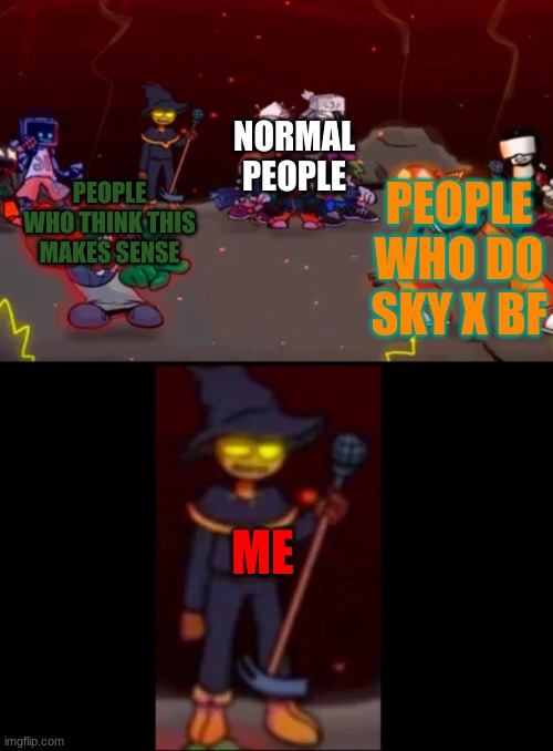 zardy's pure dissapointment | PEOPLE WHO THINK THIS MAKES SENSE PEOPLE WHO DO SKY X BF NORMAL PEOPLE ME | image tagged in zardy's pure dissapointment | made w/ Imgflip meme maker