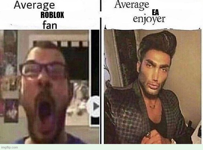 Gaming meme | EA; ROBLOX | image tagged in average blank fan vs average blank enjoyer | made w/ Imgflip meme maker