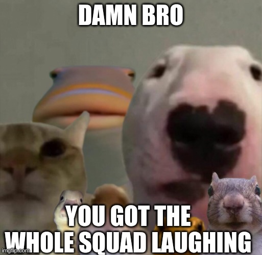 made w/ Imgflip meme maker