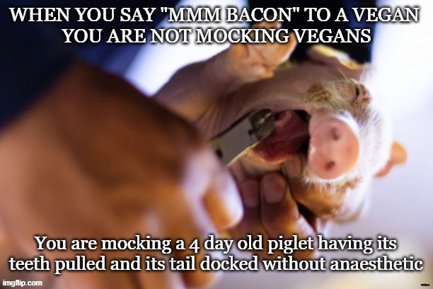 Bacon | minkpen | image tagged in vegan,bacon,ham,pork,farming,piglet | made w/ Imgflip meme maker
