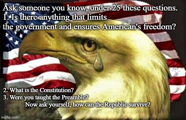 Constitution | Ask someone you know, under 25 these questions.
1. Is there anything that limits the government and ensures American's freedom? 2. What is the Constitution?
3. Were you taught the Preamble?

              Now ask yourself, how can the Republic survive? | image tagged in political | made w/ Imgflip meme maker