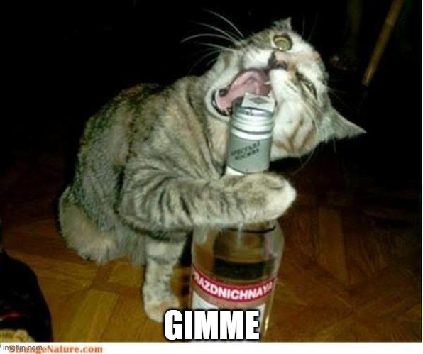 Cat Drinking 2 | GIMME | image tagged in cat drinking 2 | made w/ Imgflip meme maker