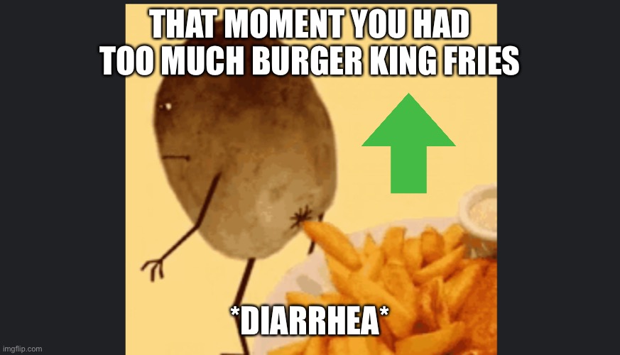 Too much Food | THAT MOMENT YOU HAD TOO MUCH BURGER KING FRIES; *DIARRHEA* | image tagged in too much food,burger king | made w/ Imgflip meme maker
