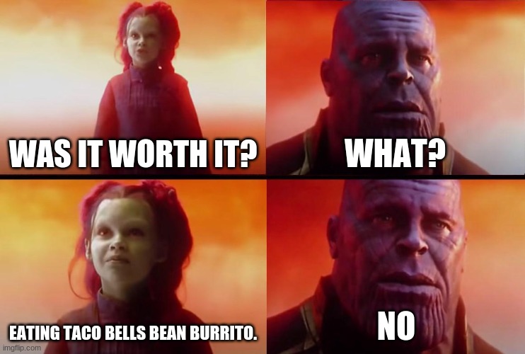 eating bean burrito. |  WAS IT WORTH IT? WHAT? EATING TACO BELLS BEAN BURRITO. NO | image tagged in thanos what did it cost | made w/ Imgflip meme maker