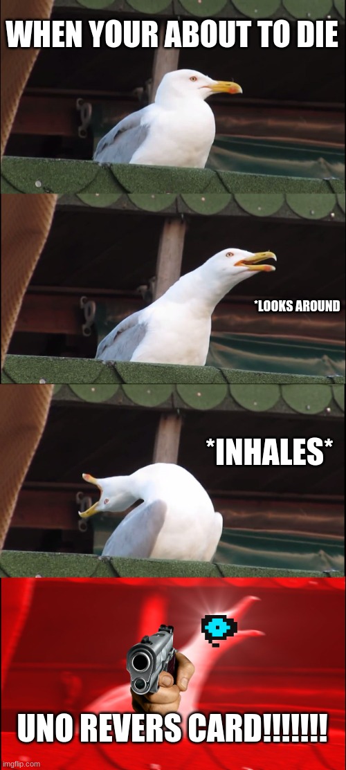 Inhaling Seagull Meme |  WHEN YOUR ABOUT TO DIE; *LOOKS AROUND; *INHALES*; UNO REVERS CARD!!!!!!! | image tagged in memes,inhaling seagull | made w/ Imgflip meme maker