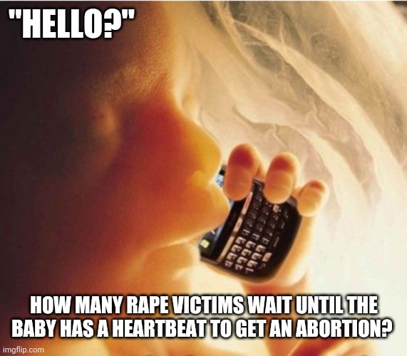 How long would you wait? | "HELLO?" HOW MANY RAPE VICTIMS WAIT UNTIL THE BABY HAS A HEARTBEAT TO GET AN ABORTION? | image tagged in fetus phone,women's rights,protect the rights of unborn women,murder,heartbeat | made w/ Imgflip meme maker