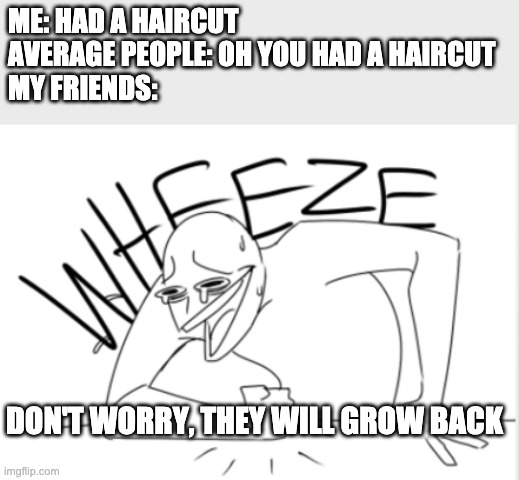 wheeze | ME: HAD A HAIRCUT
AVERAGE PEOPLE: OH YOU HAD A HAIRCUT
MY FRIENDS:; DON'T WORRY, THEY WILL GROW BACK | image tagged in wheeze,haircut,memes | made w/ Imgflip meme maker