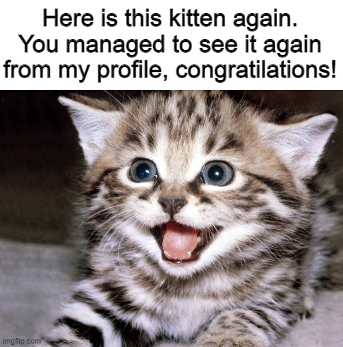 pogger | Here is this kitten again. You managed to see it again from my profile, congratilations! | image tagged in happy kitten,so here is this kitten | made w/ Imgflip meme maker
