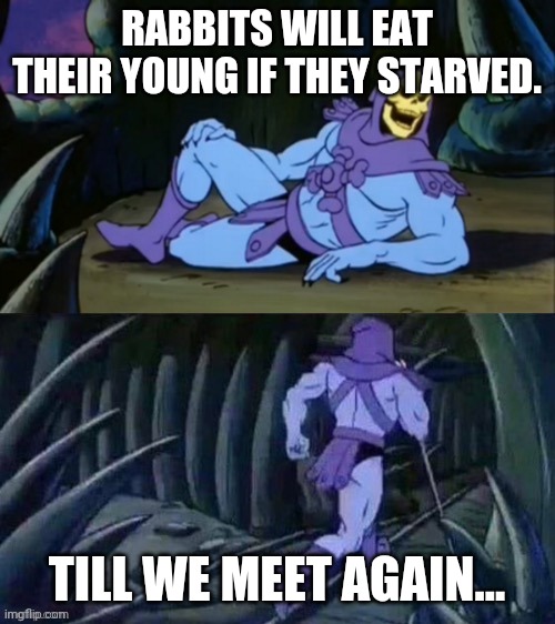 Skeletor disturbing facts | RABBITS WILL EAT THEIR YOUNG IF THEY STARVED. TILL WE MEET AGAIN... | image tagged in skeletor disturbing facts | made w/ Imgflip meme maker
