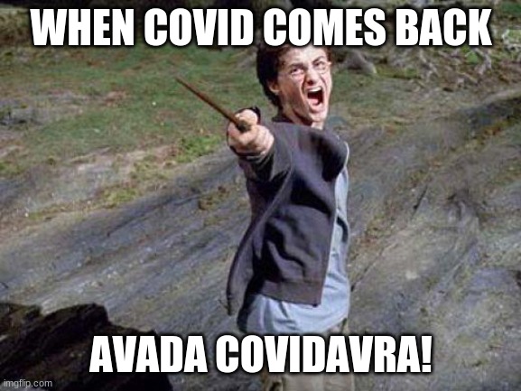 Harry Potter Yelling | WHEN COVID COMES BACK; AVADA COVIDAVRA! | image tagged in harry potter yelling | made w/ Imgflip meme maker