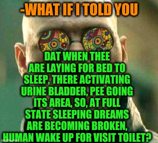-Toilet humor. | -WHAT IF I TOLD YOU; DAT WHEN THEE ARE LAYING FOR BED TO SLEEP, THERE ACTIVATING URINE BLADDER, PEE GOING ITS AREA, SO, AT FULL STATE SLEEPING DREAMS ARE BECOMING BROKEN, HUMAN WAKE UP FOR VISIT TOILET? | image tagged in acid kicks in morpheus,toilet humor,peeing,sleeping beauty,urine,video | made w/ Imgflip meme maker