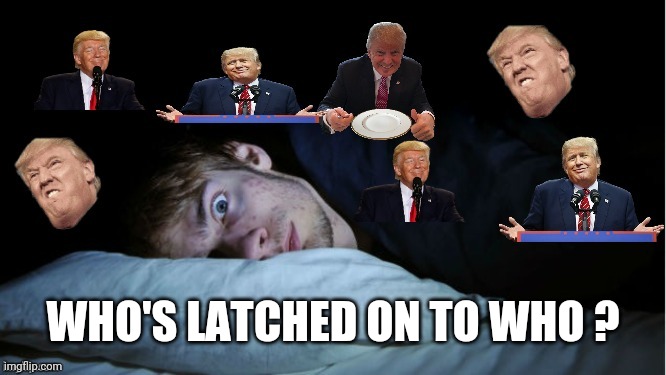 Extreme TDS | WHO'S LATCHED ON TO WHO ? | image tagged in extreme tds | made w/ Imgflip meme maker