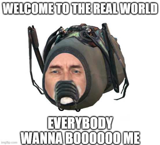 WELCOME TO THE REAL WORLD | WELCOME TO THE REAL WORLD; EVERYBODY WANNA BOOOOOO ME | image tagged in breengrub,half life,meme | made w/ Imgflip meme maker