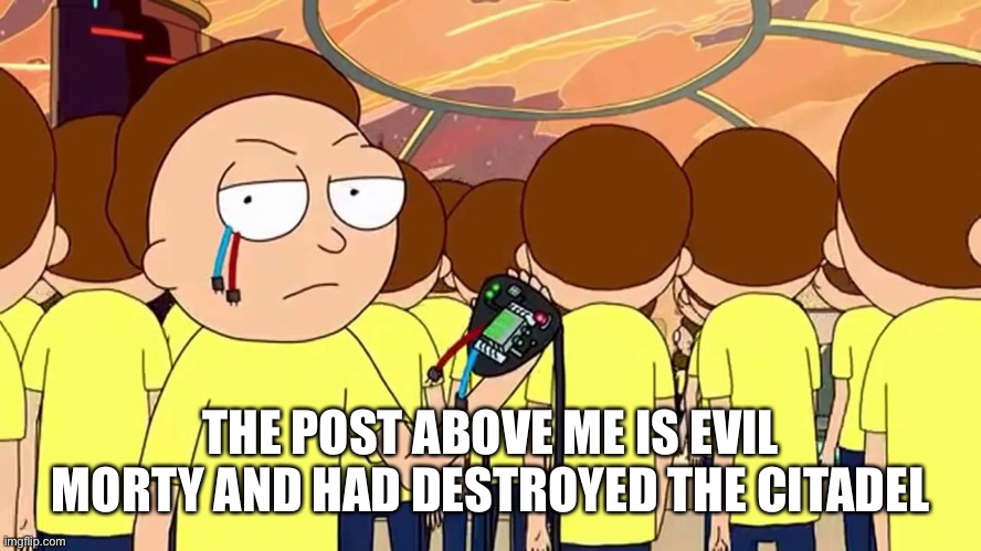 Evil Morty | THE POST ABOVE ME IS EVIL MORTY AND HAD DESTROYED THE CITADEL | image tagged in evil morty | made w/ Imgflip meme maker