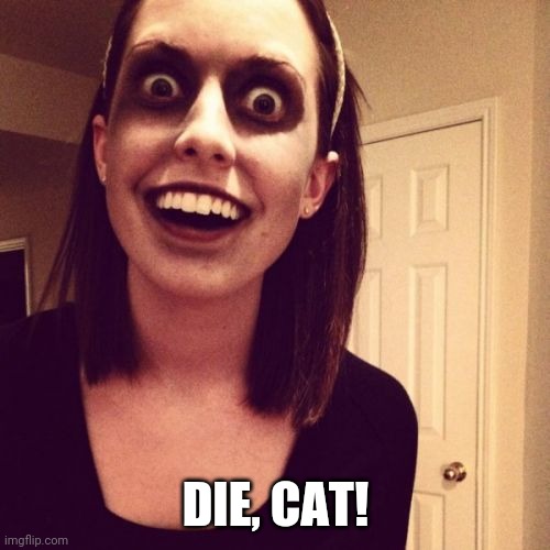 Zombie Overly Attached Girlfriend Meme | DIE, CAT! | image tagged in memes,zombie overly attached girlfriend | made w/ Imgflip meme maker