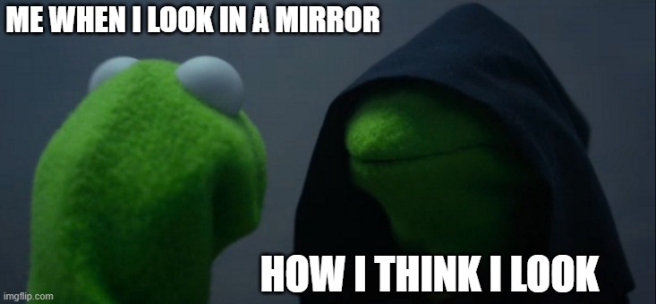 My self esteem | ME WHEN I LOOK IN A MIRROR; HOW I THINK I LOOK | image tagged in memes,evil kermit | made w/ Imgflip meme maker