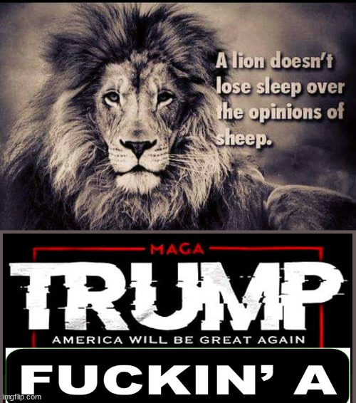 A SHEEP leading Lions vs a Lion leading sheeps | image tagged in trump,lionhearted,democratsheep,evil,democrats | made w/ Imgflip meme maker