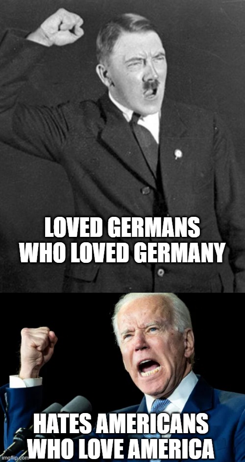 LOVED GERMANS WHO LOVED GERMANY HATES AMERICANS WHO LOVE AMERICA | image tagged in angry hitler | made w/ Imgflip meme maker