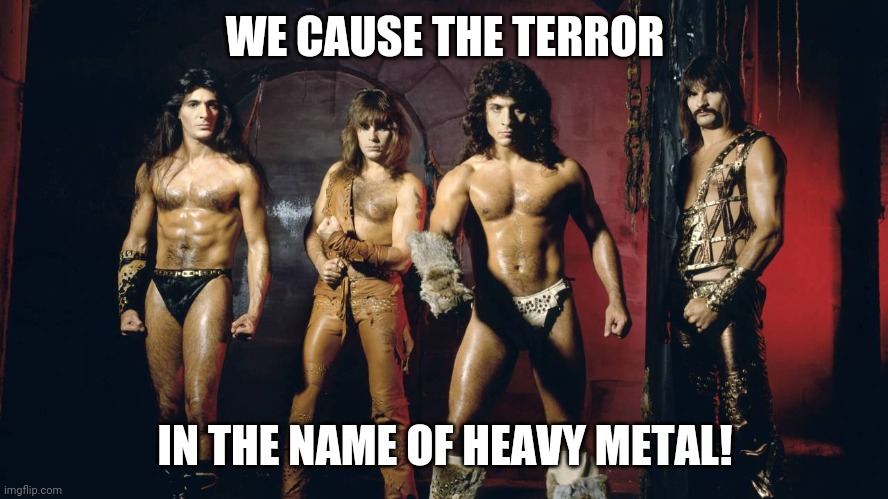 manowar | WE CAUSE THE TERROR IN THE NAME OF HEAVY METAL! | image tagged in manowar | made w/ Imgflip meme maker