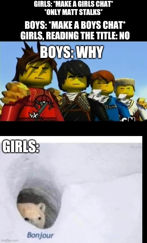 TeaTeam chats in a nutshell | GIRLS: *MAKE A GIRLS CHAT*
*ONLY MATT STALKS*; BOYS: *MAKE A BOYS CHAT*
GIRLS, READING THE TITLE: NO; BOYS: WHY; GIRLS: | image tagged in narrow black strip background,ninjago,bonjour | made w/ Imgflip meme maker