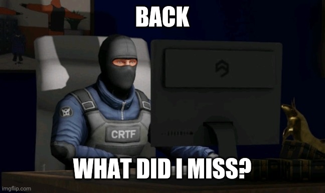 counter-terrorist looking at the computer | BACK; WHAT DID I MISS? | image tagged in computer | made w/ Imgflip meme maker