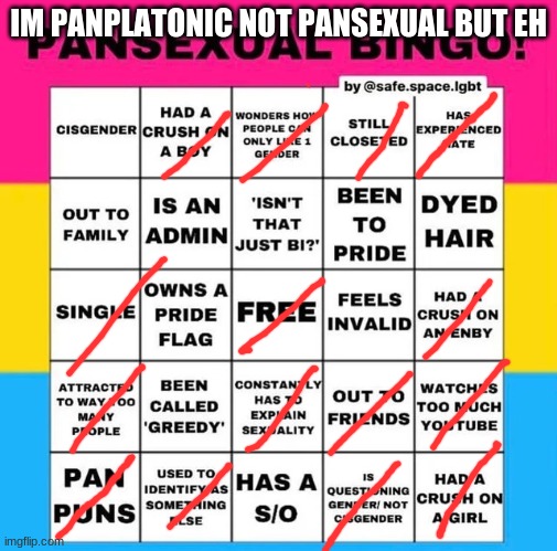 Pansexual Bingo | IM PANPLATONIC NOT PANSEXUAL BUT EH | image tagged in pansexual bingo | made w/ Imgflip meme maker