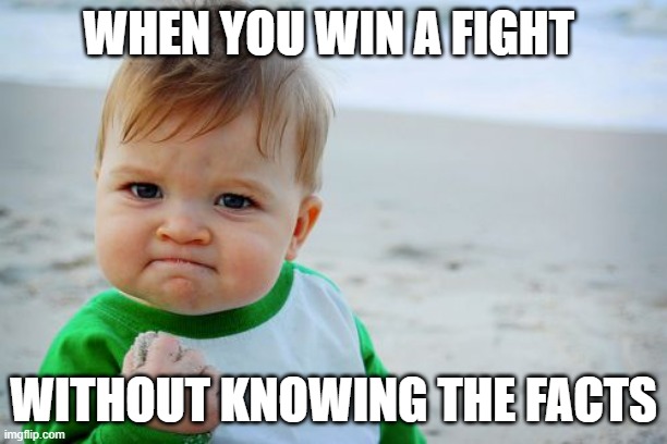 Success Kid Original | WHEN YOU WIN A FIGHT; WITHOUT KNOWING THE FACTS | image tagged in memes,success kid original | made w/ Imgflip meme maker