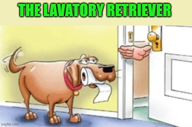 The lavatory retriever | THE LAVATORY RETRIEVER | image tagged in lavatory,retrieve | made w/ Imgflip meme maker