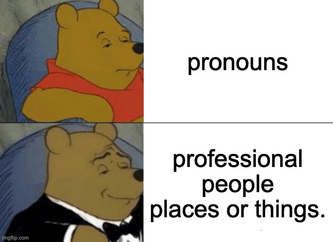 Tuxedo Winnie The Pooh | pronouns; professional people places or things. | image tagged in memes,tuxedo winnie the pooh | made w/ Imgflip meme maker