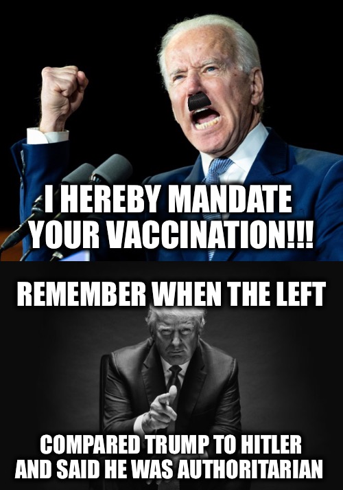Fuhrer Biden has spoken! |  I HEREBY MANDATE   YOUR VACCINATION!!! REMEMBER WHEN THE LEFT; COMPARED TRUMP TO HITLER  AND SAID HE WAS AUTHORITARIAN | image tagged in herr fuhrer,donald trump thug life | made w/ Imgflip meme maker