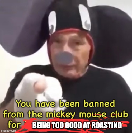 Banned From The Mickey Mouse Club | BEING TOO GOOD AT ROASTING | image tagged in banned from the mickey mouse club | made w/ Imgflip meme maker