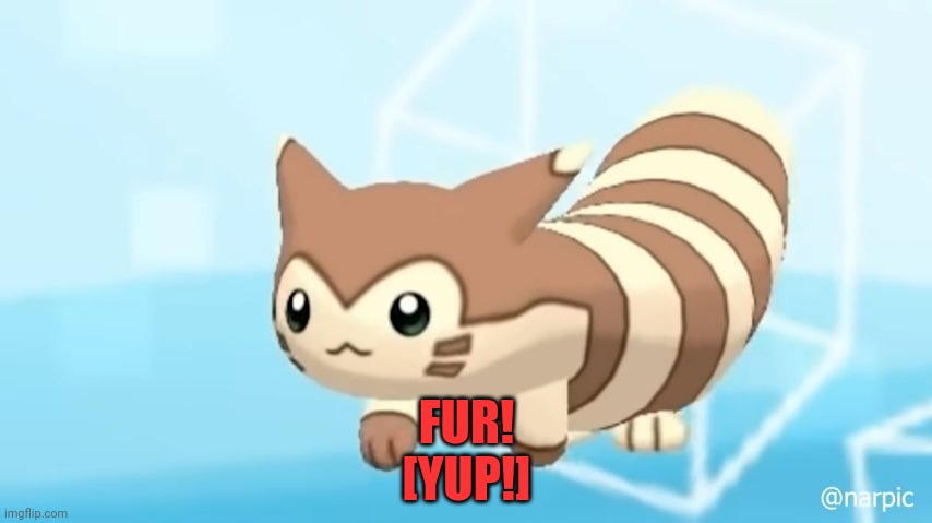 Furret Walcc | FUR!
[YUP!] | image tagged in furret walcc | made w/ Imgflip meme maker