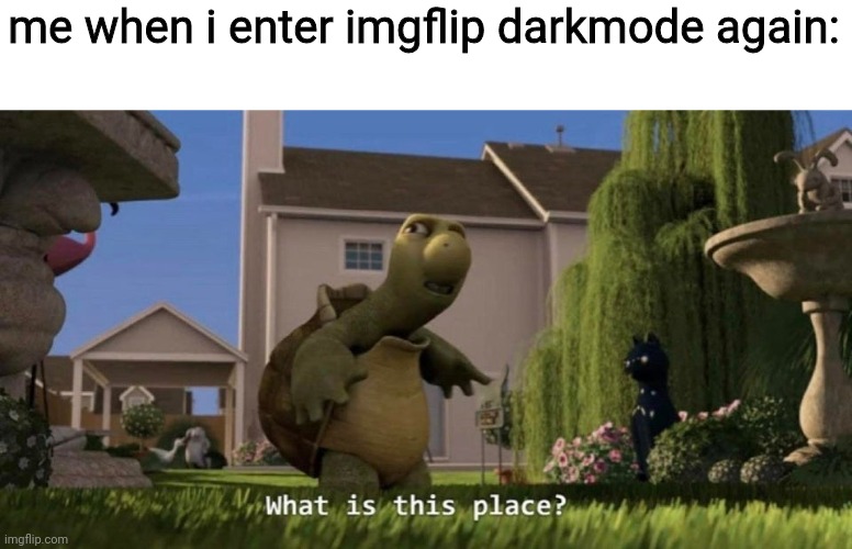 What is this place | me when i enter imgflip darkmode again: | image tagged in what is this place | made w/ Imgflip meme maker
