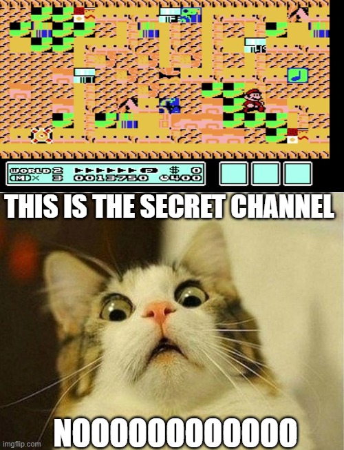 Scared Cat Meme | THIS IS THE SECRET CHANNEL; NOOOOOOOOOOOO | image tagged in memes,scared cat | made w/ Imgflip meme maker