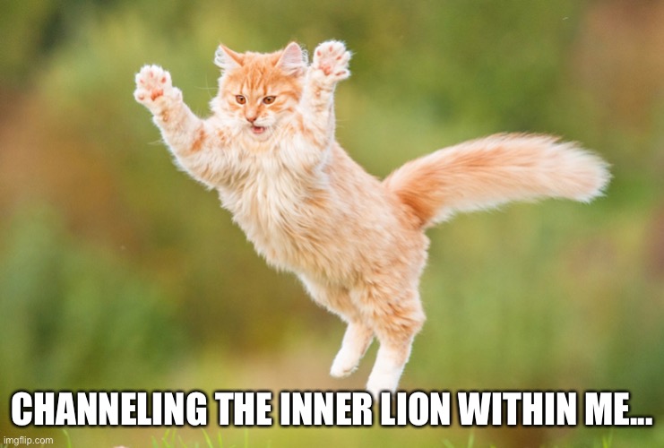 The Lion within Me | CHANNELING THE INNER LION WITHIN ME... | image tagged in lion,cat,meow | made w/ Imgflip meme maker