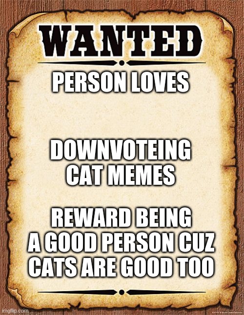 wanted poster | PERSON LOVES; DOWNVOTEING CAT MEMES; REWARD BEING A GOOD PERSON CUZ CATS ARE GOOD TOO | image tagged in wanted poster | made w/ Imgflip meme maker