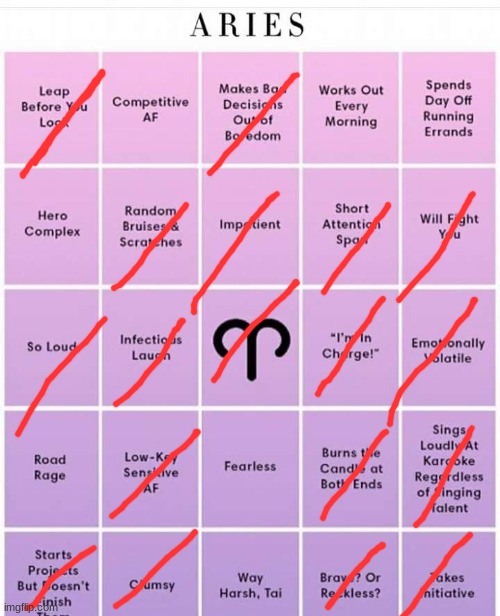 doing zodiac sign bingo bc y e s | image tagged in aries bingo | made w/ Imgflip meme maker