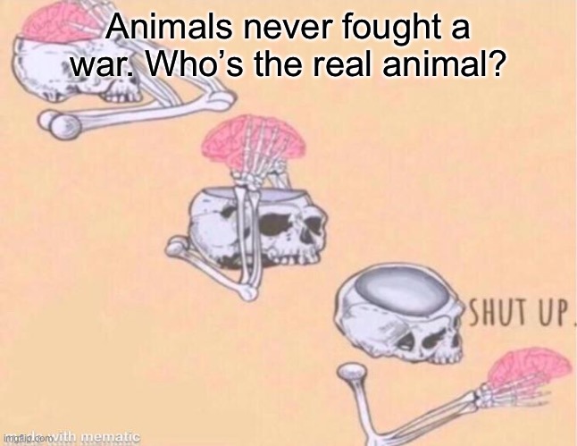 Credits to professor Farnsworth | Animals never fought a war. Who’s the real animal? | image tagged in skeleton shut up meme | made w/ Imgflip meme maker