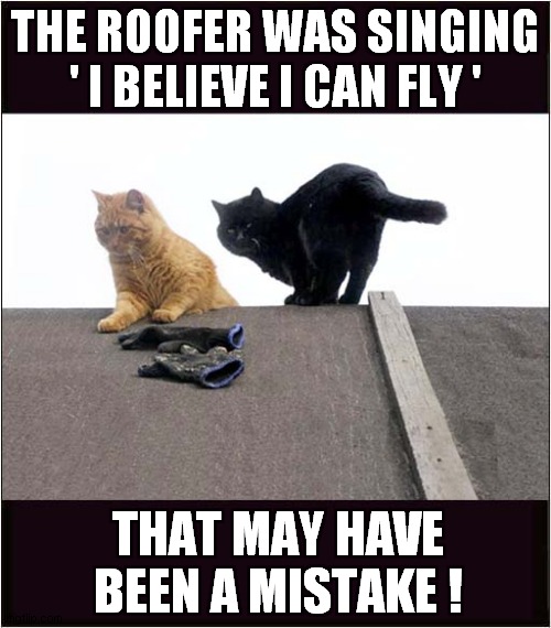 Cats Help To Fulfill A Dream ! | THE ROOFER WAS SINGING ' I BELIEVE I CAN FLY '; THAT MAY HAVE BEEN A MISTAKE ! | image tagged in cats,roof,singing,dream,falling down | made w/ Imgflip meme maker
