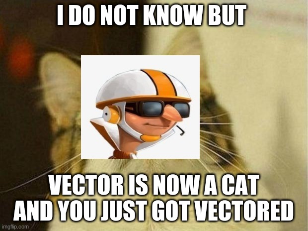 cat vector | I DO NOT KNOW BUT; VECTOR IS NOW A CAT AND YOU JUST GOT VECTORED | image tagged in memes,scared cat | made w/ Imgflip meme maker