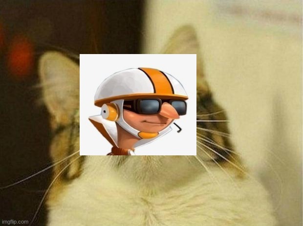 High Quality vector cat Blank Meme Template