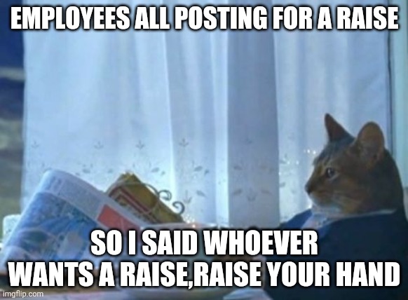 I Should Buy A Boat Cat |  EMPLOYEES ALL POSTING FOR A RAISE; SO I SAID WHOEVER WANTS A RAISE,RAISE YOUR HAND | image tagged in memes,i should buy a boat cat | made w/ Imgflip meme maker