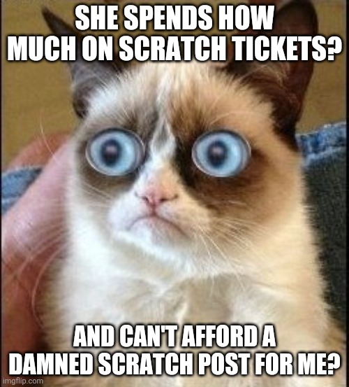 Grumpy Cat Shocked | SHE SPENDS HOW MUCH ON SCRATCH TICKETS? AND CAN'T AFFORD A DAMNED SCRATCH POST FOR ME? | image tagged in grumpy cat shocked | made w/ Imgflip meme maker