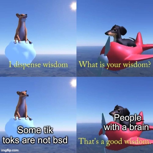 Wisdom dog | People with a brain; Some tik toks are not bsd | image tagged in wisdom dog,wise,tiktok | made w/ Imgflip meme maker