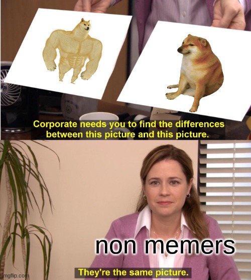 They're The Same Picture | non memers | image tagged in memes,they're the same picture | made w/ Imgflip meme maker