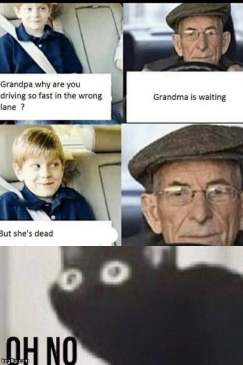 time to die | image tagged in oh no cat,dark humor,funny,grandma,grandpa,suicide | made w/ Imgflip meme maker