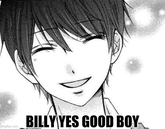 smiling boy | BILLY YES GOOD BOY | image tagged in smiling boy | made w/ Imgflip meme maker